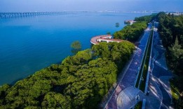 今日西湾公园爆料新闻最新,最新爆料揭示惊人真相