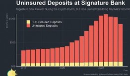 硅谷银行最新爆料消息,揭秘科技巨头融资内幕与风险挑战