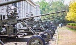 徐州张大炮事件最新爆料,最新爆料揭示惊人内幕