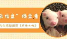 杀猪盘爆料最新,网络爱情陷阱，警惕“猪”你同行