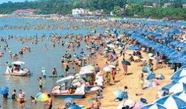 秦皇岛浴场爆料案件最新,真相渐浮水面，疑云终将拨开