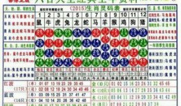 生肖卡最新爆料,揭秘生肖卡背后的神秘力量与独特魅力