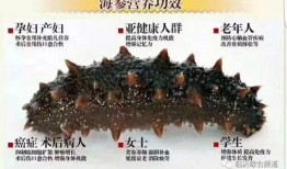 海参哥最新爆料新闻内容,最新爆料事件深度解析