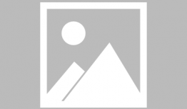 河南都市爆料最新材料,揭秘最新热点事件背后的真相