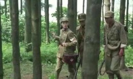 老杨最新爆料视频播放,揭秘视频背后的惊人真相！