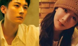 杨紫刘学义最新爆料,揭秘幕后故事与情感纠葛