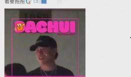 刘大锤爆料视频最新消息,揭秘事件背后惊人真相