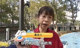 陈女士爱狗人士最新爆料,揭秘爱狗人士最新爱心行动