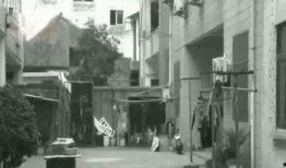 江阴周庄爆料最新消息视频,揭秘神秘事件背后的真相