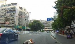 宁阳朱庄爆料事件最新,真相与争议交织的舆论漩涡