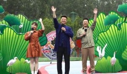 恒哥最新爆料新闻视频,最新爆料新闻视频深度解析