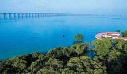 今日西湾公园爆料新闻最新,最新爆料揭示惊人真相