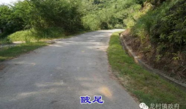 五华爆料新闻最新,惊曝某知名企业涉嫌违规操作，真相令人震惊！