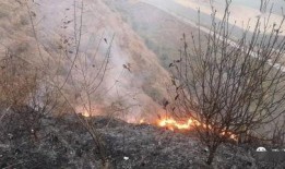 狮子山爆料视频最新消息,最新视频揭露惊人内幕