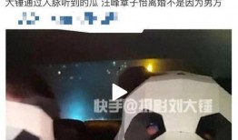 刘大锤爆料视频最新消息,揭秘事件背后惊人真相