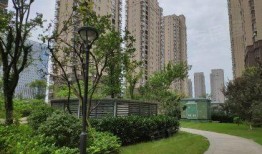 翰林府吃瓜爆料最新进展,最新进展揭秘，真相即将揭晓！