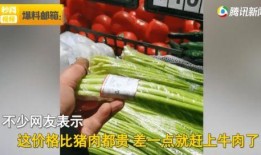 河南超市爆料视频最新,揭秘超市内幕，消费者权益如何保障？